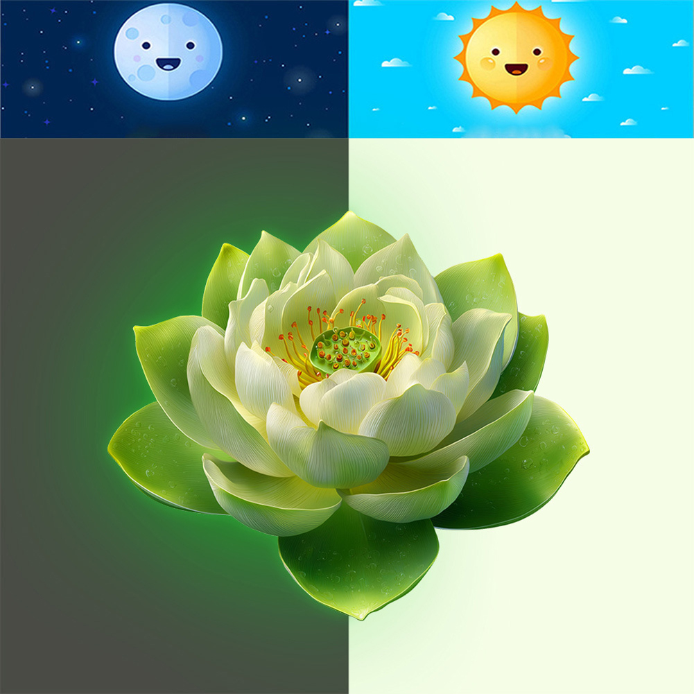 สติกเกอร์ไวนิลลายดอกบัวเรืองแส - Lighting Decor Rentals บทวิจารณ์และราคา